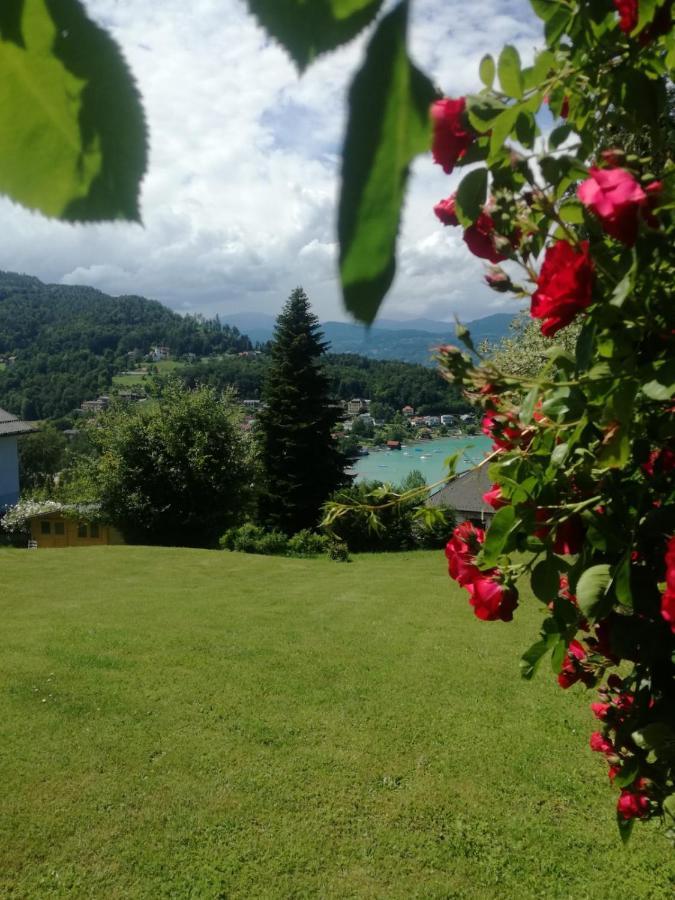 Hotel Garni Haus Am Wald Reifnitz Esterno foto